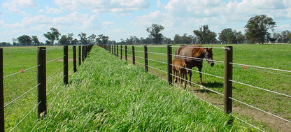 Bayco® Equine - Horse Sight Fence (9Kg/612m)