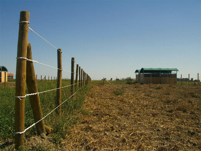 Bayco® Equine - Horse Sight Fence (9Kg/612m)