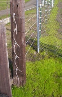 Bayco® Equine - Horse Sight Fence (9Kg/612m)