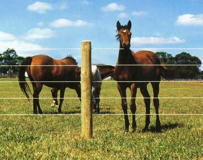 Bayco® Equine - Horse Sight Fence (9Kg/612m)