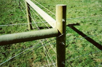 Bayco® Equine - Horse Sight Fence (9Kg/612m)