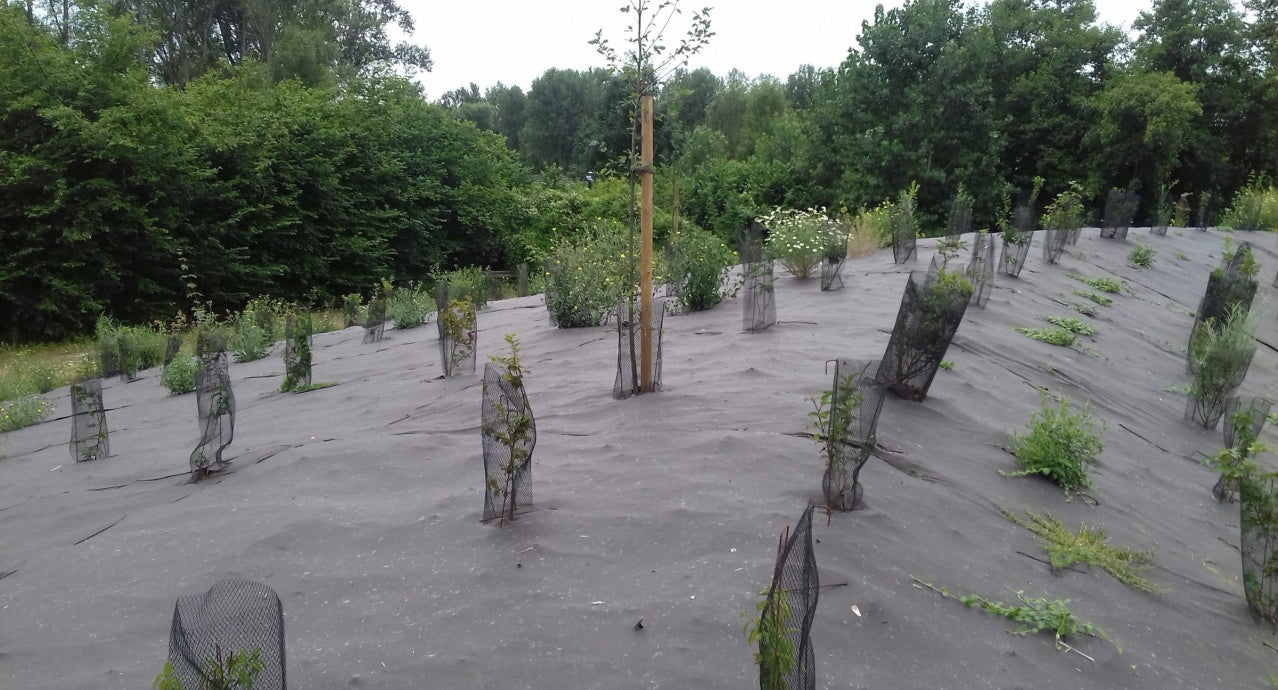 Ecotex, Biodegradable Weed Control Mulch Mat, 2m Wide