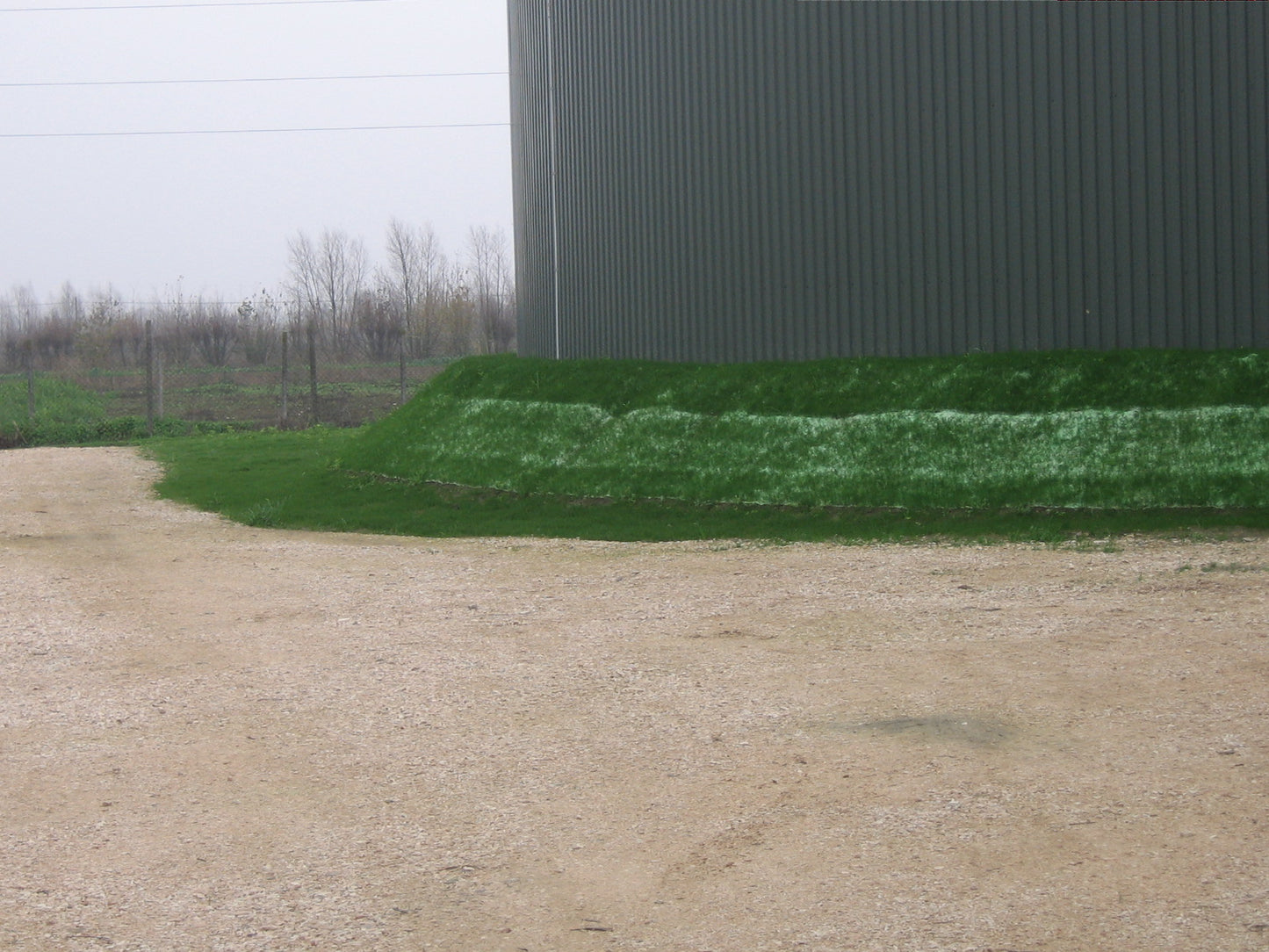GrassMat Supreme Pre-seeded Biodegradable Grass Mat Pad for Gardens and Lawns 15m²