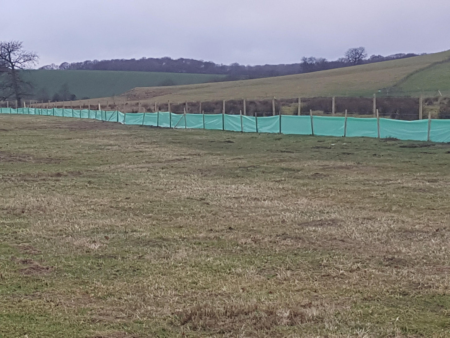 Ecofender Newt Barrier Fence, 1000 Gauge Polythene, Green, 1x100m Roll