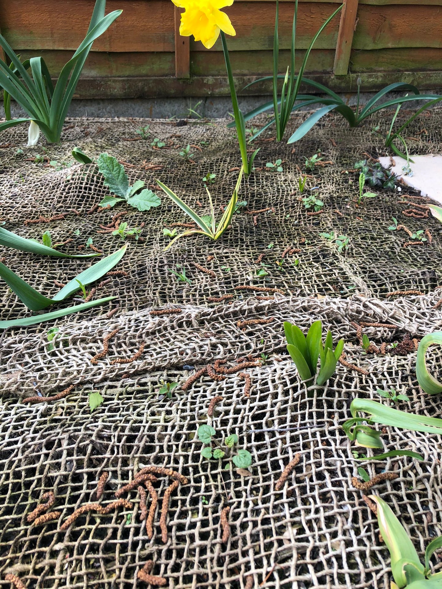 Jute Soil Saver™, 84m² Pack